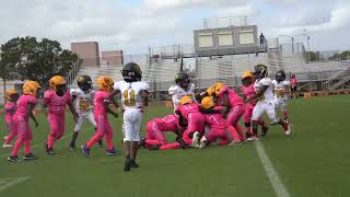 WEEK 10 🏈🟡⚫️ CANNONBALL WOLVERINES 8U VS NORTH MIAMI BEACH SUNDEVILS ‼️THE REMATCH‼️ [upl. by Ahsiryt]