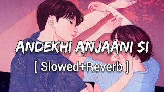 Andekhi Anjaani Si SlowedReverb  Lata MangeshkarUdit Narayan  Lofi Song  Textaudio [upl. by Truitt]