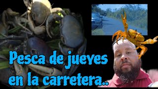 Vlog 127 Pesca de jueyes en la carretera [upl. by Krock]