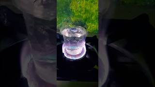 Water experiment experiment waterexperiments science sigma trendingviralytshorts thinkbig1313 [upl. by Trudey]