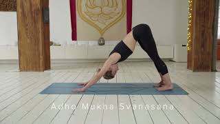 How to do Downward Facing Dog  Adho Mukha Svanasana [upl. by Chrisoula137]