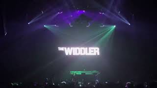 The Widdler  Live  Mission Ballroom 2024 [upl. by Ynnek702]