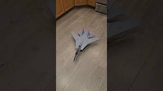 RC F14 Tomcat Twin 40mm EDF Wing Sweep and Engine test [upl. by Gladi33]