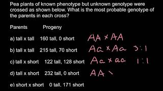 Different Genotype and Phenotype ratios explained [upl. by Carmita91]