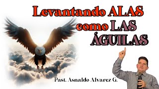 🦅Levantar ALAS como LAS AGUILAS sermón aguilas promesas [upl. by Novaelc]