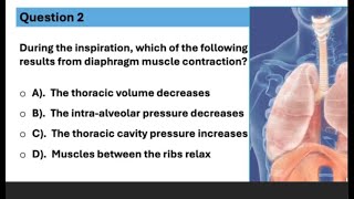 MCAT Test 2 practice question [upl. by Renraw]