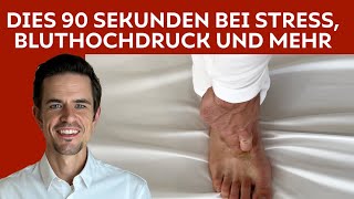 Drücke DIESE Punkte 90 Sekunden für Deine Leber bei Stress Angst und Bluthochdruck [upl. by Eiclud]