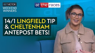 LINGFIELD BEST BETS amp 221 CHELTENHAM ANTEPOST TIP  WEEKEND WINNERS [upl. by Vento60]