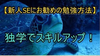 新人SEにお勧めの勉強方法 独学でスキルアップ！ [upl. by Higginbotham336]