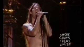 RHCP  Warped Live [upl. by Ber]