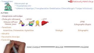 ICTÈRE A BILIRUBINE CONJUGUÉE CHEZ LADULTE  Cholestase extrahépatique [upl. by Ennasus56]