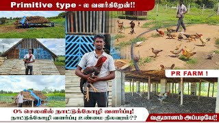 🐓 🐔 No incubator No brooding setup நாட்டுக்கோழி வளர்ப்பு Method of rearing countrychickenfarming [upl. by Anehsak]