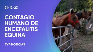 Confirmaron el primer contagio humano de encefalitis equina en más de 20 años [upl. by Joeann373]