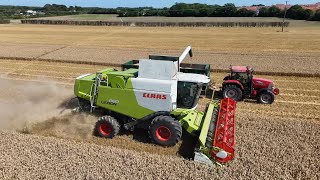 CLAAS LEXION 660 4k [upl. by Muldon]