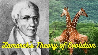 Lamarks theory of evolution or Lamarckism [upl. by Ahsen]