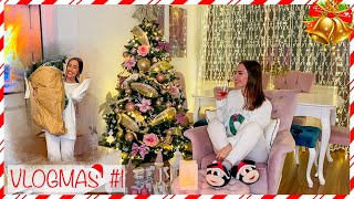 Kićenje jelke i dekorisanje stana 🎄 VLOGMAS 1 [upl. by Annahgiel205]