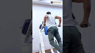 Mastering Tricep Dips Ultimate Workout [upl. by Jochebed883]