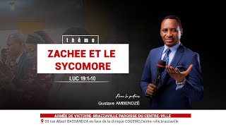 ZACHEE ET LE SYCOMORE [upl. by Harpp29]