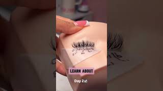 Lash Training  3 day class lashextensions lashartistry lashtraining [upl. by Krigsman]