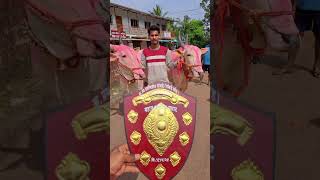 नाद एकच बैलगाडा शर्यत ✌️👑🔥 bakasur shorts viralvideo funny marathi music song [upl. by Coheman]