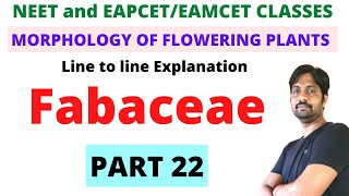 Fabaceae Family NCERT  Morphology of Flowering Plants  PART 22 [upl. by Ssegrub]