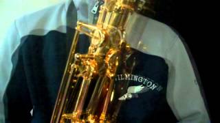 Far Over The Misty Mountains Cold Tenor Saxophone The Hobbit [upl. by Amil]