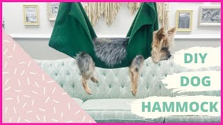 DIY Dog Hammock [upl. by Annasus641]