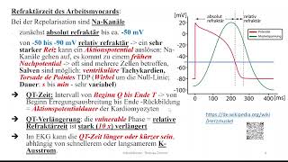 Herz 7 QTVerlängerung  LQT  LongQTSyndrom  und Torsades de Pointes [upl. by Ayam]