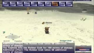 FFXI NM Saga 162 Tegmine vs BST solo High lvl Full Battle [upl. by Roe438]