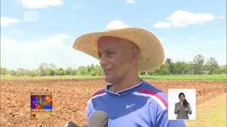 Cuba Incrementan área cultivable en Ciénaga de Zapata [upl. by Badger]