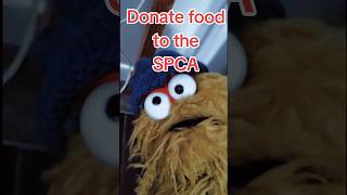 HELP THE PETSspca fireworks fyp Frankiekiwi nz triggerwarnning help [upl. by Euqimod]