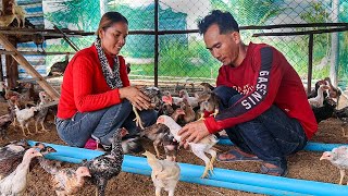 From Struggles to Success Transforming Lives Through Sustainable Chicken Farming [upl. by Elleiram141]