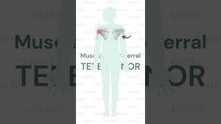 Trigger Point Referral Pattern Teres Minor [upl. by Eki]