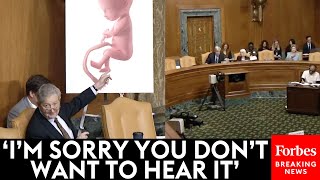 John Kennedy Relentlessly Grills ProChoice Witness Snaps At Sheldon Whitehouse For Cutting Him Off [upl. by Yaker]