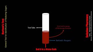 Barfoed Test  Test for Monosaccharides  Biochemical test for Carbohydrate  Animated Video English [upl. by Brockwell124]