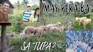 MAY PERA BA SA TUPA  FULL INTERVIEW WITH THE PINOY SHEPHERD [upl. by Shute968]