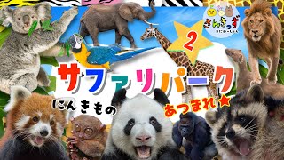 【子供向け 動物園アニメ】サファリパークへ行こう！part2★コアラ キリン レッサーパンダなど人気の動物たち20種類の動物の名前を覚えよう◎ 【うごく動物ずかん】動物の知育動画 [upl. by Annawaj]