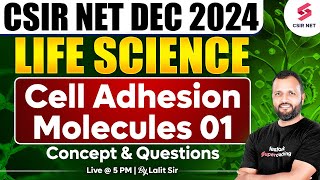 CSIR NET DEC 2024  Life Science  Concept And Questions  Cell Adhesion Molecules  01Dr Lalit Pal [upl. by Walrath]