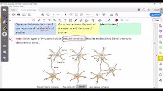 CNS Physiology synaptic transmission [upl. by Nysa]