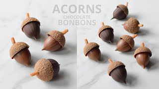 HAZELNUT CHOCOLATE BONBONS 🐿🌰 ACORNS  Denise Castagno [upl. by Melburn]