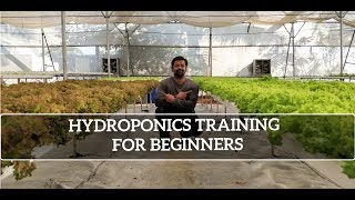 Hydroponics Training Course for Beginners [upl. by Eldreeda]