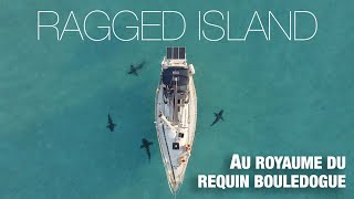 Sunshine Express S2 EP17  Au royaume du requin bouledogue  Flamingo Cay [upl. by Idnahk]