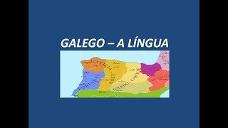 GALEGO  A Língua que Todos Nativos de Português Entendem [upl. by Jakie999]