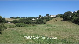 Our Beautiful Area Tregony [upl. by Arised402]