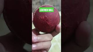 Old Leather ball 50 over khel li iski halt deko indianplayers [upl. by Aihsenal736]