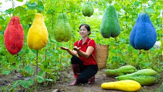 Harvesting Chayote amp Goes To Market Sell  Gardening And Cooking  Lý Tiểu Vân [upl. by Annay711]