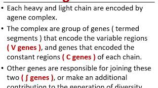 Lecture 5A immunoglobulin gene ‫‬د منصور اليازجي [upl. by Ybab61]