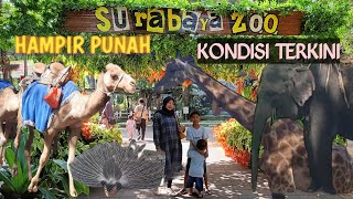 HITS Kembali Kebun Binatang Surabaya Zoo 2023 [upl. by Nylra361]