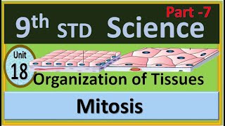 9th Science unit 18 Organization of tissues Mitosis [upl. by Secilu]