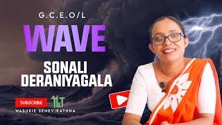 Wave by Sonali Deraniyagala  The Literature Teacher [upl. by Sharity]